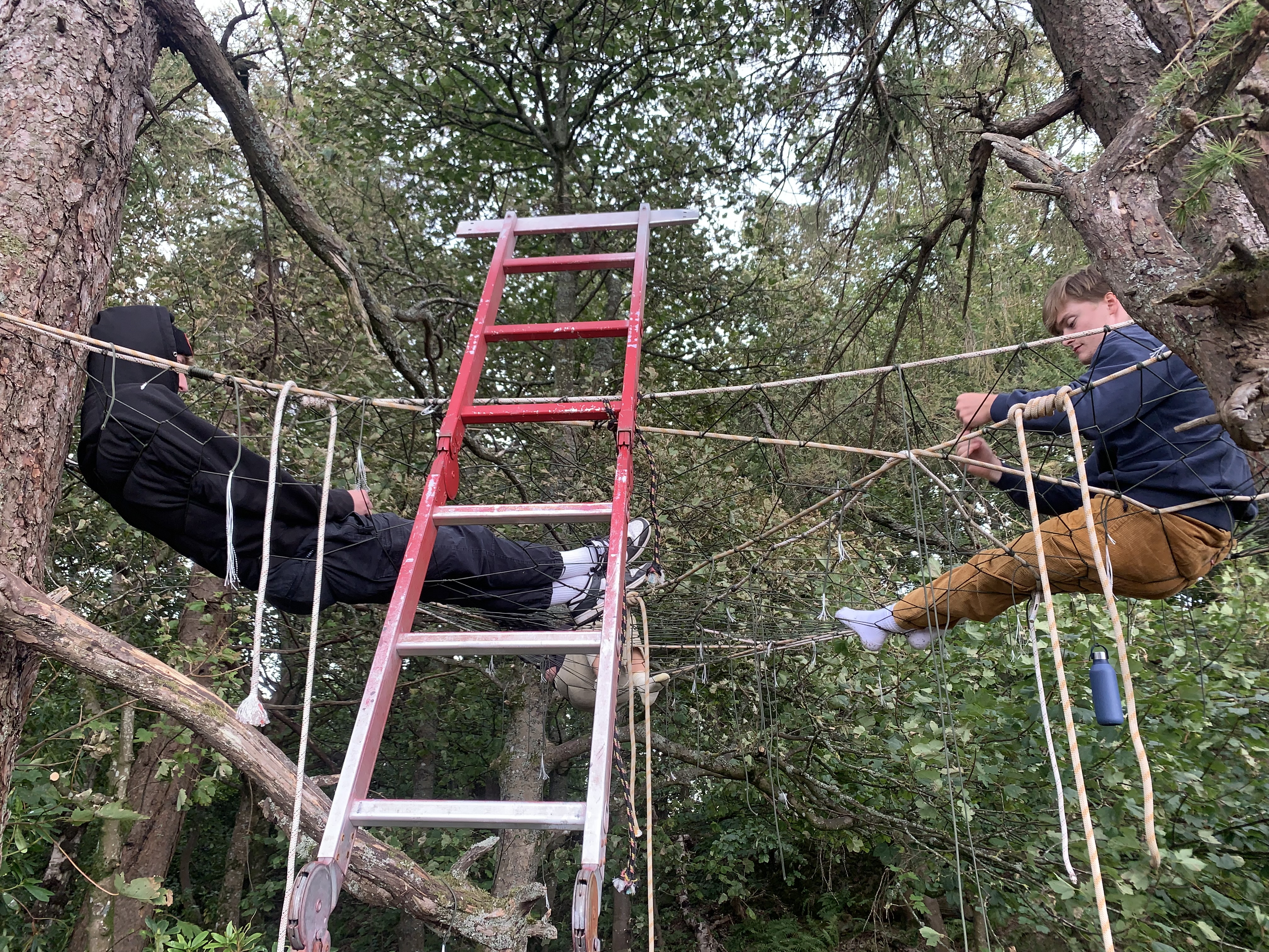 Building the Treenet frame