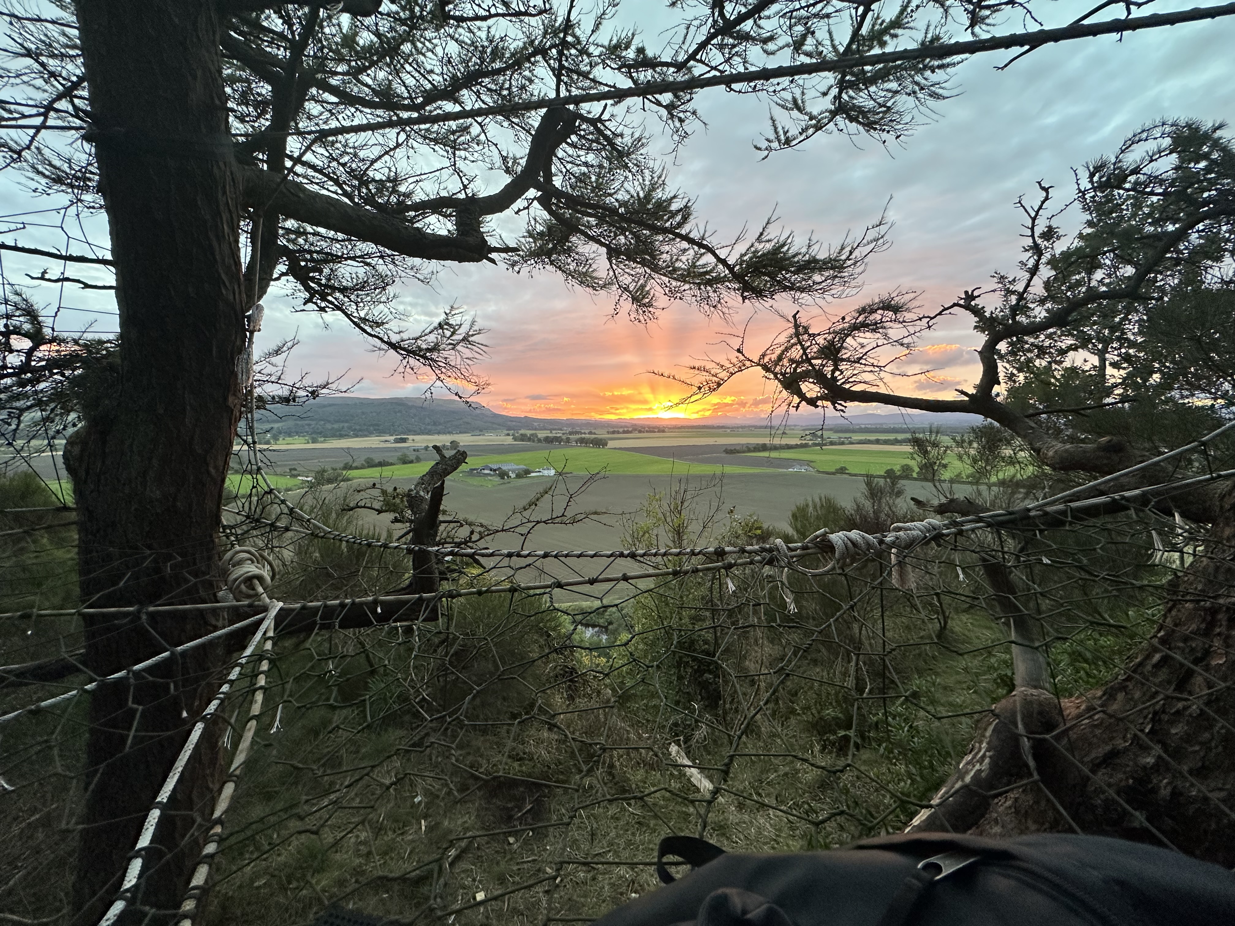Sunset view through the Treenet